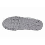 Air Max 90 Wolf Grey
