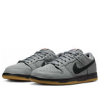 SB Dunk Low Men's Shoes